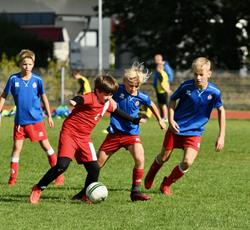 Zakończono eliminacje do Mistrzostw Gdańska w Piłce Nożnej Chłopców