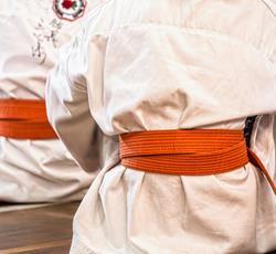 Taekkyeon